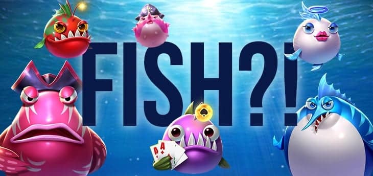 Le Guide du Débutant : Nager avec les Poissons