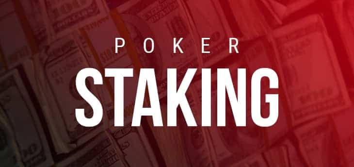 Le Guide du Débutant : Introduction au Staking