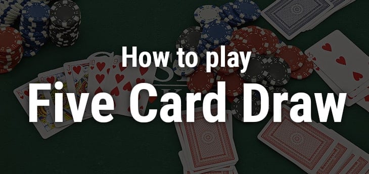 The Beginner&#8217;s Guide to No Limit Five Card Draw