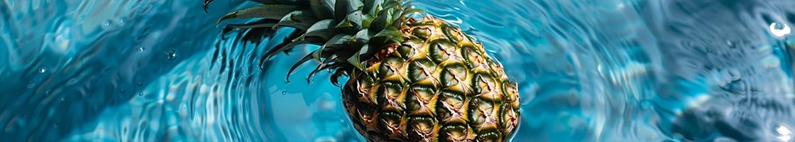 okyanusta bir ananas